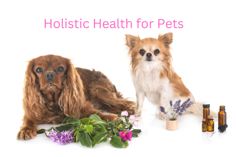 Holistic Health for Pets: Natural Remedies and Therapies