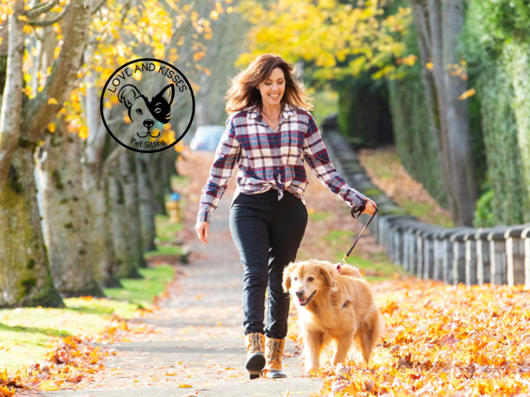 Hiring a Professional Pet Sitter When You Travel: Love and Kisses Pet Sitting in South Charlotte
