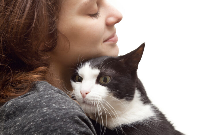 Steps To Take if Your Cat Goes Missing A Step-by-Step-Guide