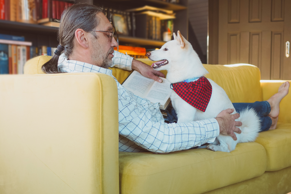 man on couch reading with a white dog