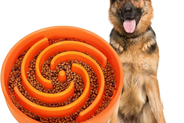 The Slow Feeder: Keeping Your Furry Friend Happy and Healthy