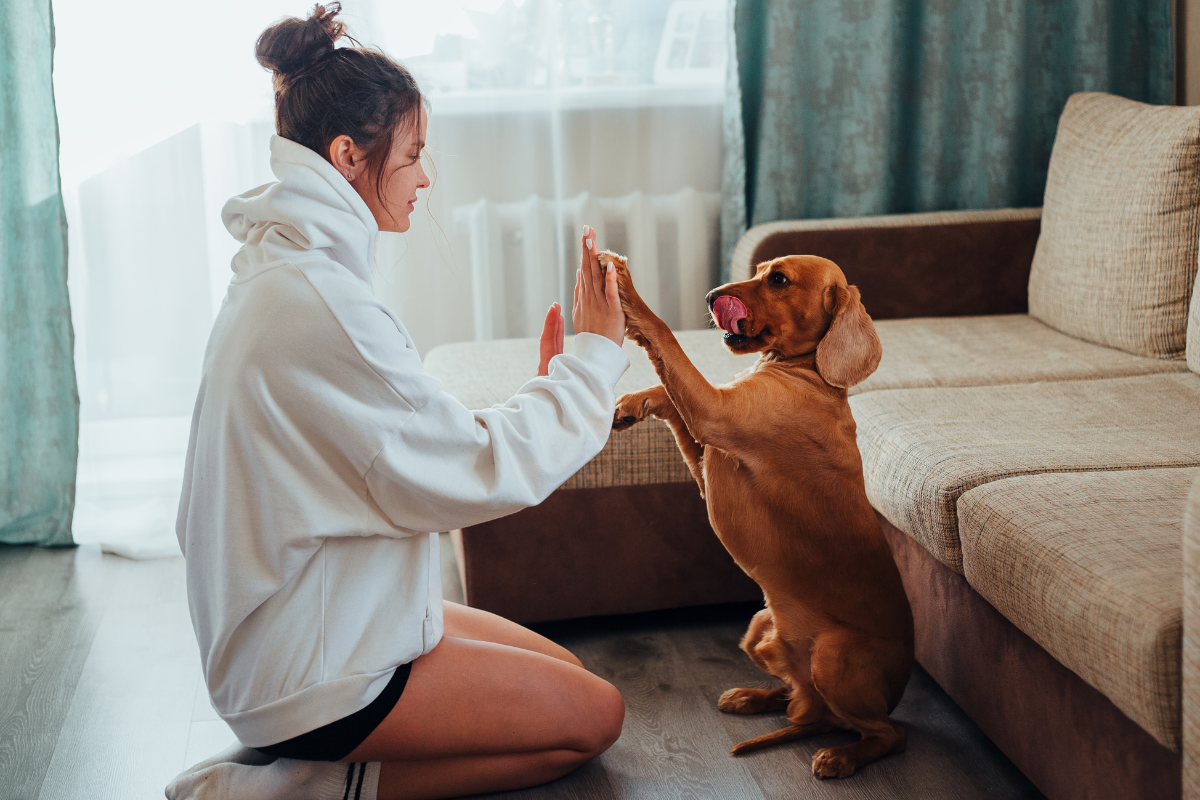 Women with dog giving paw