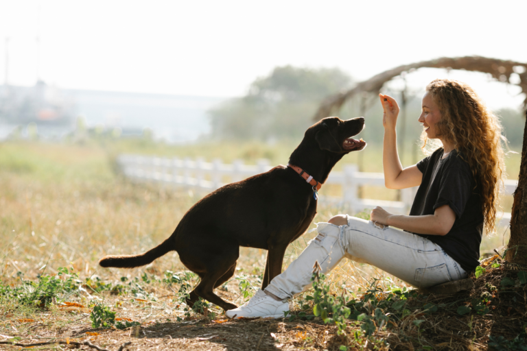 Managing Your Dog’s Weight: A Guide to Healthy Treat Alternatives