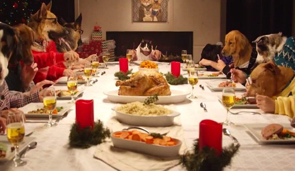 Dogs around table aat Thanksgiving